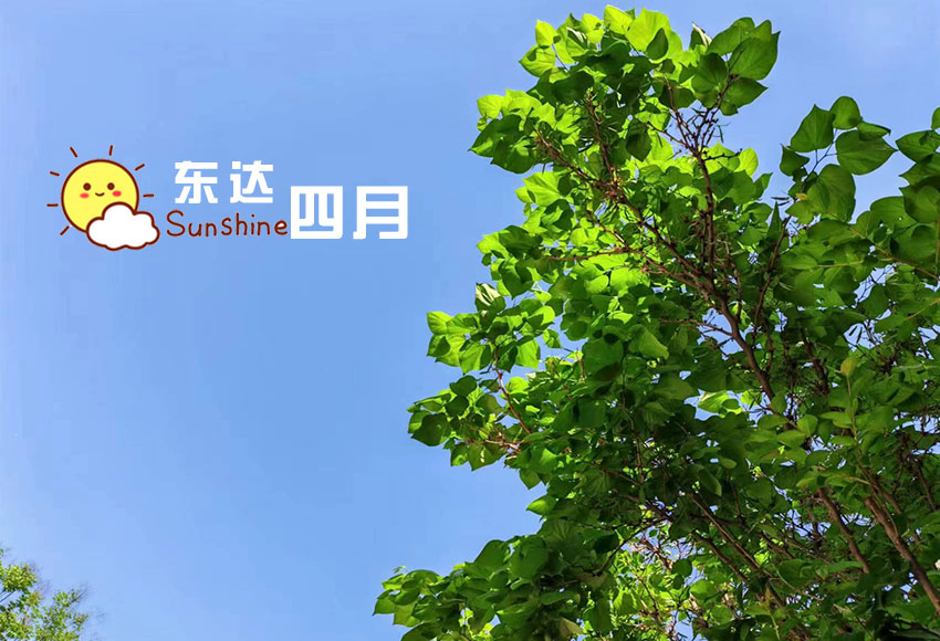 东达四月，在劳动和坚持中收获