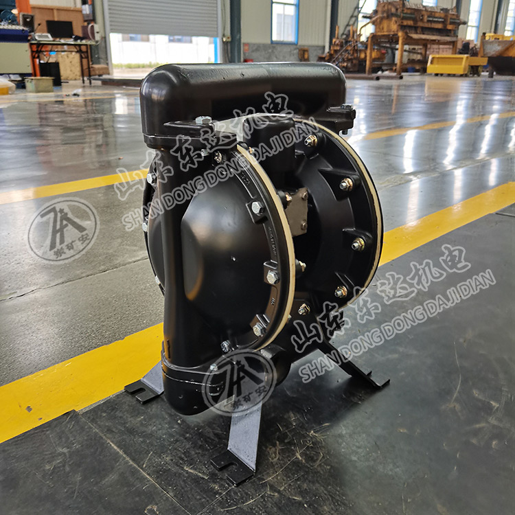 BQG165/0.25气动隔膜泵